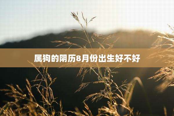属狗的阴历8月份出生好不好
