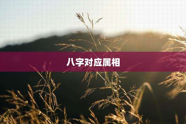 八字对应属相