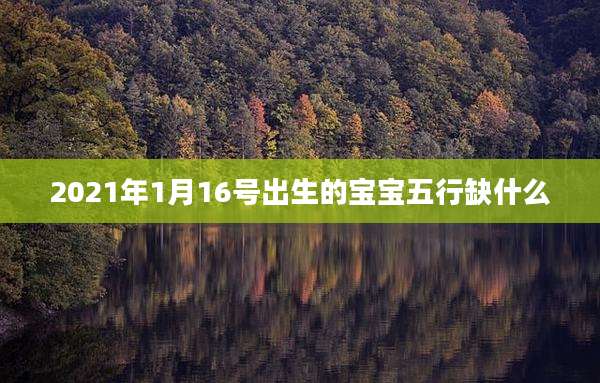 2021年1月16号出生的宝宝五行缺什么