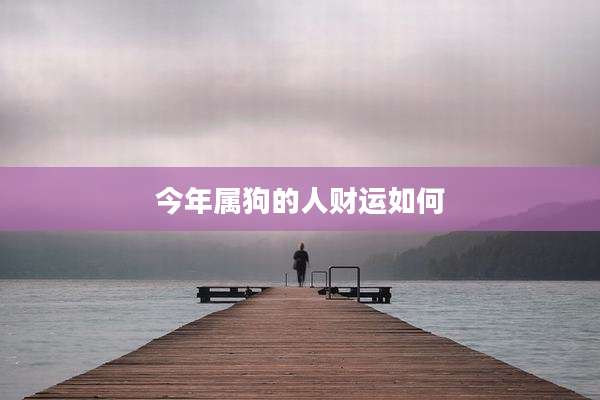 今年属狗的人财运如何