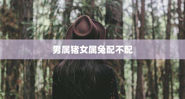 男属猪女属兔配不配