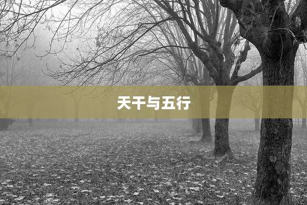 天干与五行