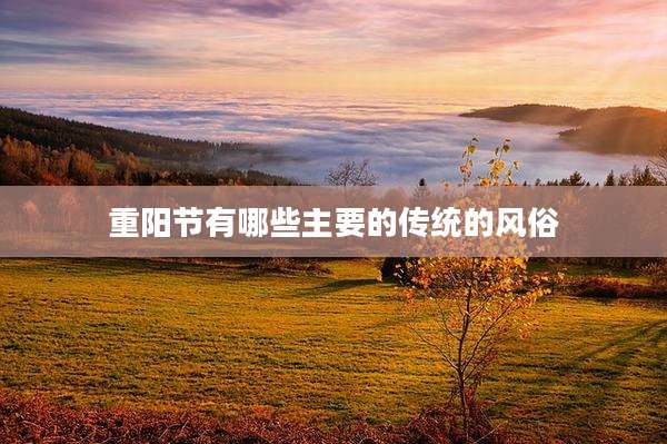 重阳节有哪些主要的传统的风俗