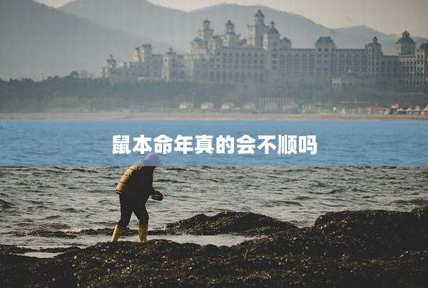 鼠本命年真的会不顺吗