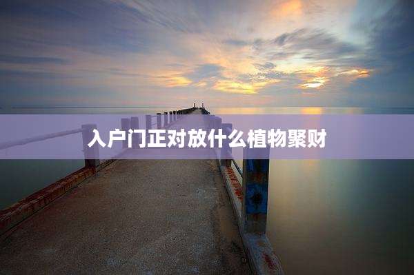 入户门正对放什么植物聚财