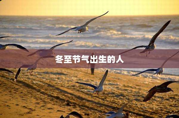冬至节气出生的人