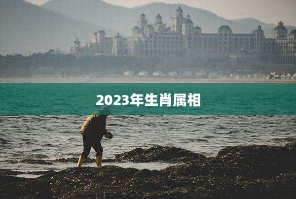 2023年生肖属相