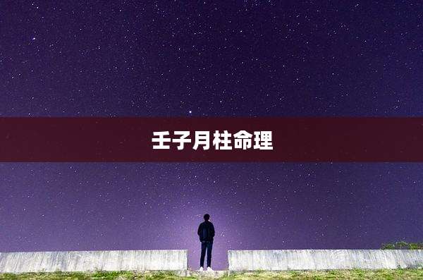 壬子月柱命理