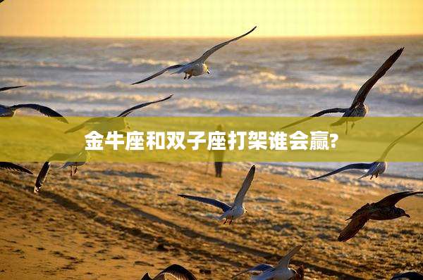 金牛座和双子座打架谁会赢?