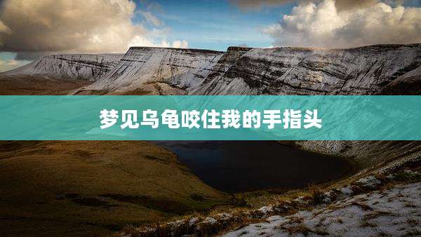 梦见乌龟咬住我的手指头