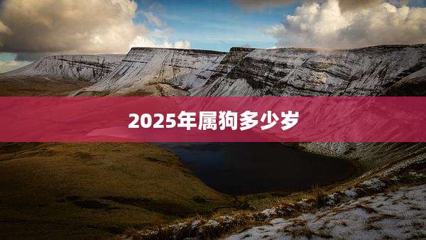 2025年属狗多少岁