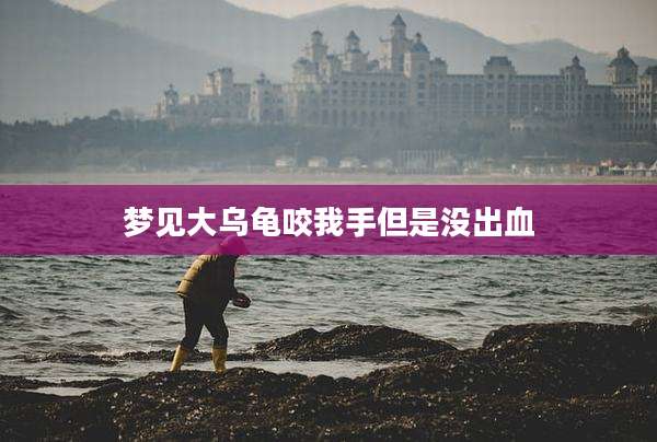 梦见大乌龟咬我手但是没出血