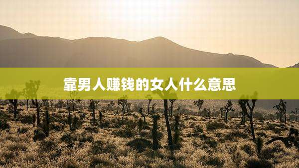 靠男人赚钱的女人什么意思