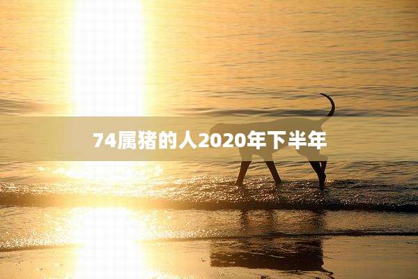 74属猪的人2020年下半年