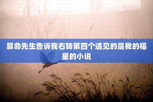 算命先生告诉我右转第四个遇见的是我的福星的小说
