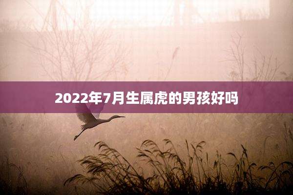 2022年7月生属虎的男孩好吗