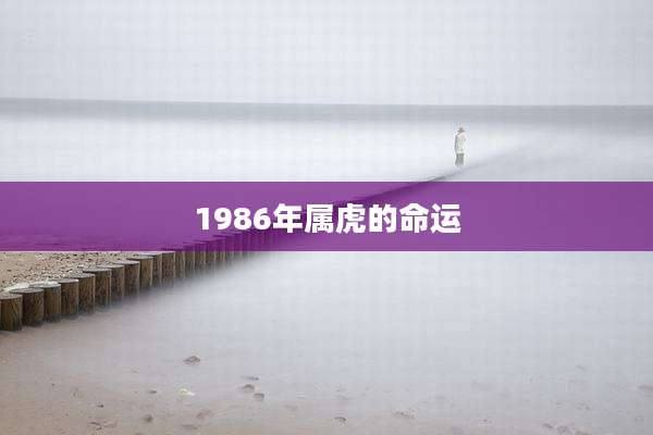 1986年属虎的命运