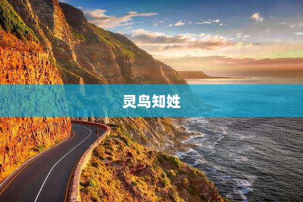 灵鸟知姓