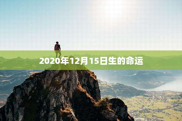 2020年12月15日生的命运
