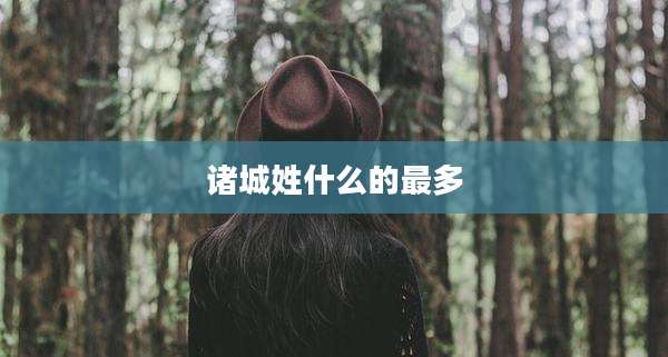 诸城姓什么的最多