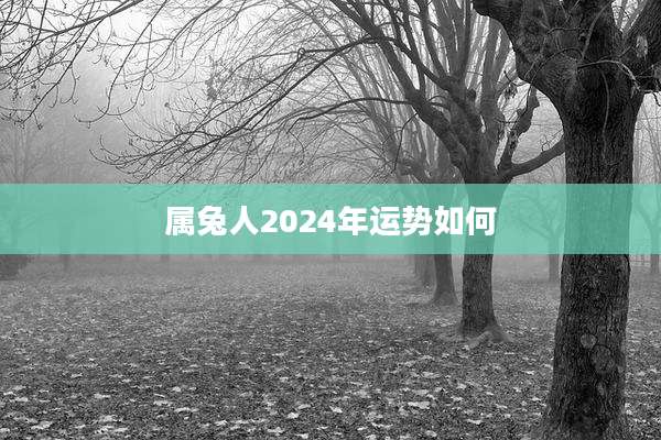 属兔人2024年运势如何
