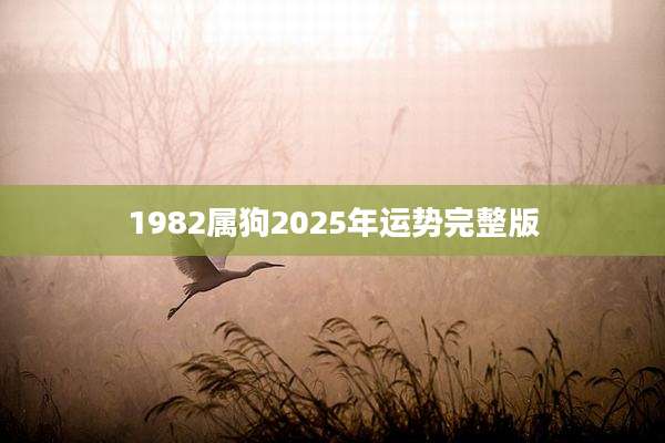 1982属狗2025年运势完整版