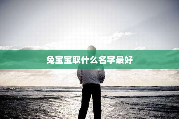 兔宝宝取什么名字最好