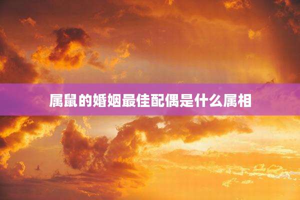 属鼠的婚姻最佳配偶是什么属相