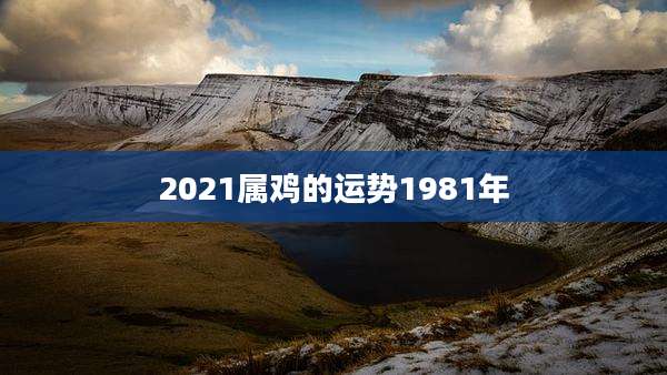 2021属鸡的运势1981年
