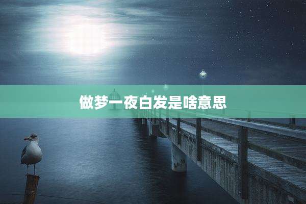 做梦一夜白发是啥意思