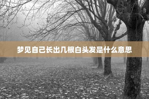 梦见自己长出几根白头发是什么意思