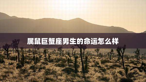 属鼠巨蟹座男生的命运怎么样