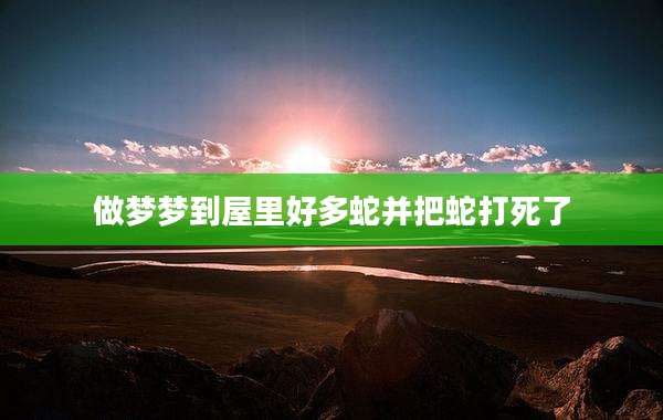 做梦梦到屋里好多蛇并把蛇打死了
