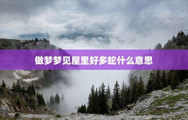 做梦梦见屋里好多蛇什么意思