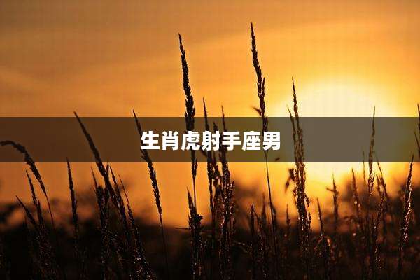 生肖虎射手座男