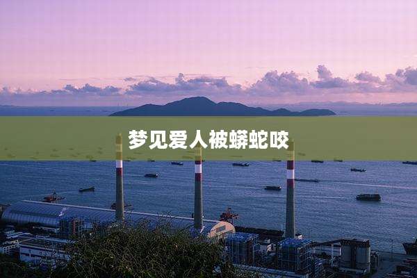 梦见爱人被蟒蛇咬