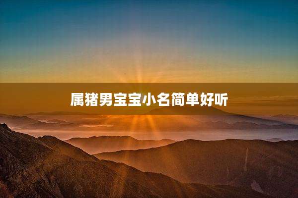属猪男宝宝小名简单好听