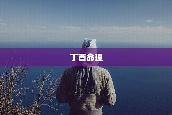 丁酉命理