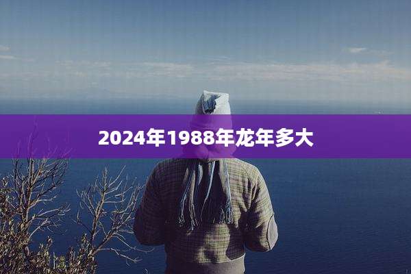 2024年1988年龙年多大