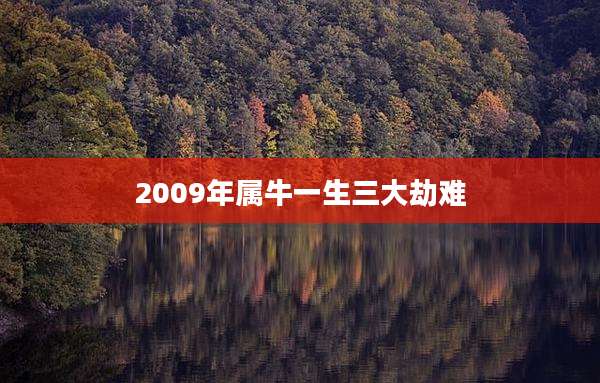 2009年属牛一生三大劫难