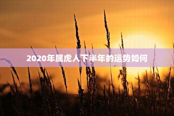 2020年属虎人下半年的运势如何