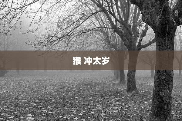 猴 冲太岁
