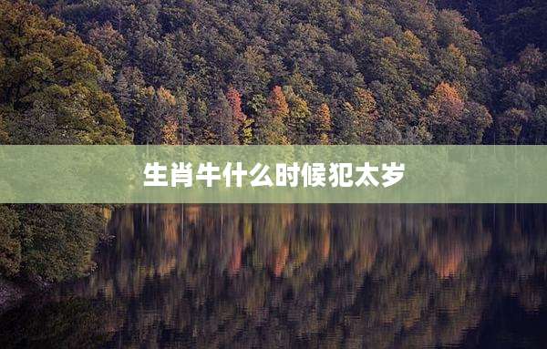生肖牛什么时候犯太岁