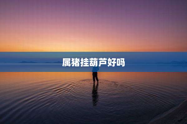 属猪挂葫芦好吗