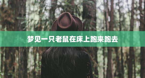 梦见一只老鼠在床上跑来跑去