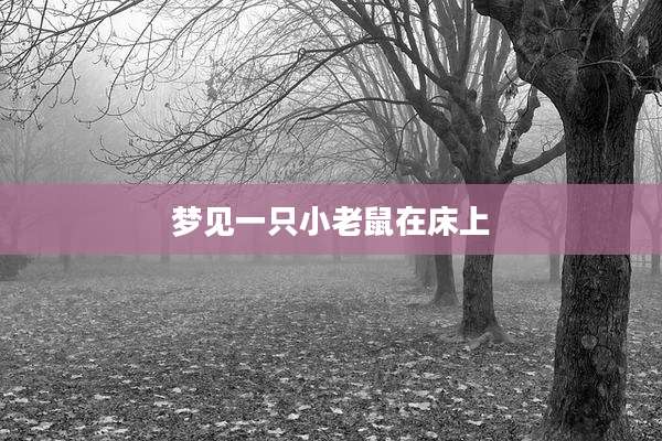 梦见一只小老鼠在床上