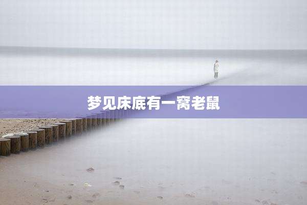 梦见床底有一窝老鼠