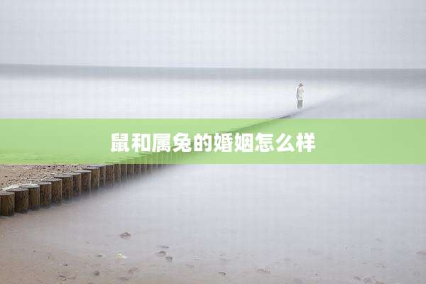 鼠和属兔的婚姻怎么样