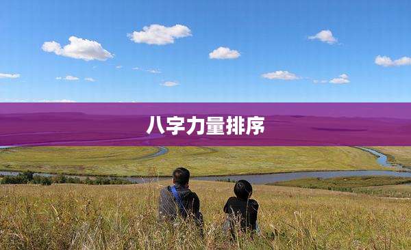 八字力量排序