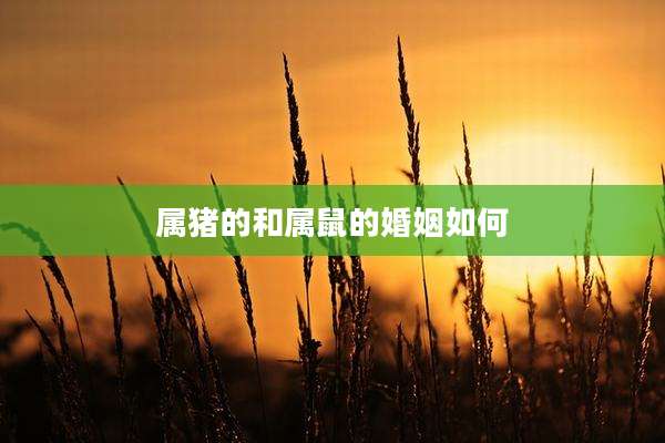 属猪的和属鼠的婚姻如何